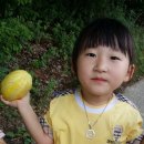 현준농장 이미지