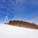 삼양목장 이미지