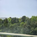 이철우공인중개사사무소 이미지