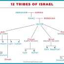 Geneses Chapter 30- Jacob Increased 이미지