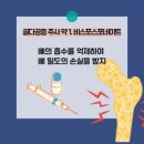 골다공증 주사 종류 부작용 가격, 골다공증 약은 과연? 이미지