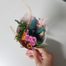 꼬피운