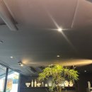 사발 | 광화문 맛집 사발 후기