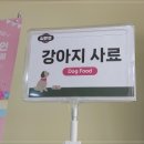 은평애견 이미지