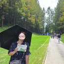 몰입과 진로 | 2025 KLPGA 하이트진로 챔피언십 갤러리 후기 및 꿀팁 (4년차 직관러 ver.)
