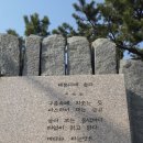 해운대에 올라 이미지