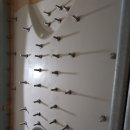 대구매동초등학교 이미지