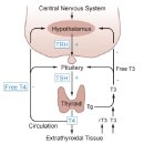 리더스 동물병원 이미지