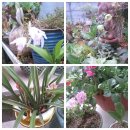 가산보건지소 이미지