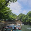 [사천 여행] 숨겨진 비밀 항구, 삼천포 '대방진굴항'
