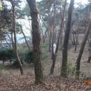 여주-0705 이미지