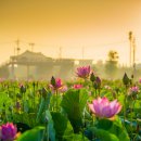 함안 방어산 마애약사여래삼존입상 이미지