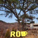 밀양루(RO) | 밀양 속 정감이 가는 마을, 삼랑진 카페 밀양RO에 다녀왔어요~ 노을까지 보고 왔네요.