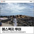 대만 예스폭지 야경 투어 | 투어비스 x 네이버여행 내돈내산 솔직후기