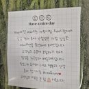 한미농장 | [리뷰] 마트 미나리와 비교 불가! YM 마켓 돌미나리 삼겹살 파티 후기