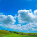 창건목장 이미지