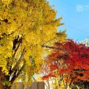 대일골프랜드 이미지