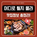 게임웨이브코리아(주) | 예능 ‘어디로 튈지 몰라’ 완벽 정리 | OTT·출연진·관전포인트·맛집까지 총정리!