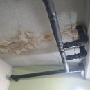 청사로-11 이미지