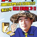 진도삼촌울금 이미지