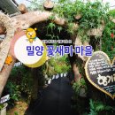 꽃새미 Daum카페