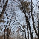 진등3로 이미지