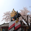 천년카페 이미지