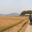 소로3-92 Daum카페