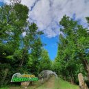 동화힐링캠프 이미지