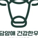 담양애 건강한우