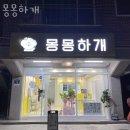 몽몽하개 | 권선구 탑동 애견샵 몽몽하개 위치.가격.시간.후기