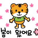황금전문정비 이미지