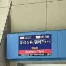 (주)프리챌 | OZ222 아시아나 인천에서 뉴욕 존에프케네디공항 비행 후기 / 기내식 / 오로라 / 입국심사