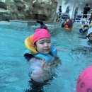 어룡태권도 이미지