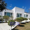 신도리민박 이미지