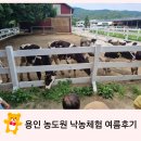 낙농 | 용인 농도원 낙농체험 여름 준비물, 일정후기