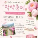 영월-29