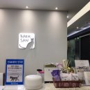 백산동물병원 | 고양이 전문 병원 / 백산 동물병원 1차 예방접종 후기