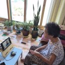 옥과 무창 이미지