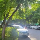 럭키공인중개사사무소 이미지