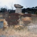 대안동 신흥사 구 대웅전 이미지