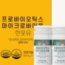 그린포유 이미지