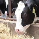 성장목장 이미지