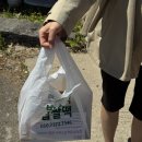 박순석찹쌀떡 | 강화도 가볼 만한 곳 아침 대용으로 좋은 박순석 찹쌀떡 약쑥 인절미 솔직 후기