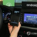 대신오토 이미지