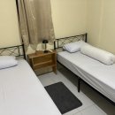 다이브(DIVE) | 암본(Ambon) 라하 다이브 패커(Laha Dive Packer) 후기 | 암본 다이빙샵 후기, 암본 마크로 다이빙샵 후기