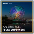 군관 | 달빛 아래 더 빛나는 충남의 여름밤 여행지