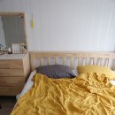 호호 컴퍼니 이미지