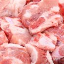 고향생돼지 이미지