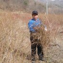 대야농장 이미지